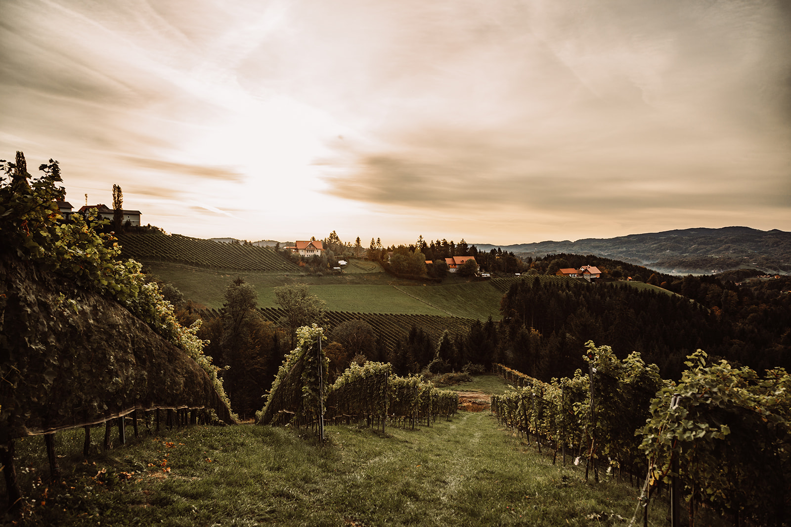Kollerhof